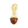 Brass Enamel Fruit European Dangle Charms KK-Z090-08G-08-1