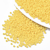 Baking Paint Glass Seed Beads SEED-S042-05A-06-1