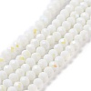 Electroplate Opaque Solid Color Glass Beads Strands LS-EGLA-A044-P6mm-L01-1