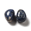 Natural Blue Spot Jasper Beads G-G979-A18-2