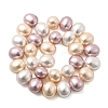 Shell Pearl Beads Strands BSHE-F013-01Q-2
