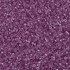 MIYUKI Delica Beads SEED-X0054-DB1413-4