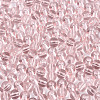 FGB Transparent Glass Seed Beads SEED-N013-01A-10-3
