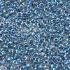 TOHO 6/0 Round Beads SEED-XTR06-0263-3