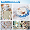Natural Spiral Shell DIY Decorative Craft Material SHEL-SP0001-02-4