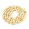 Anti-Tarnish Dyed Rondelle Glass Beads Strands EGLA-T021-3mm-17-10-2