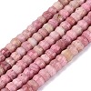 Natural Rhodonite Beads Strands G-Q606-46A-16-2