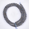 Natural Labradorite Beads Strands X-G-S333-6mm-035-2