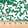 Baking Paint Glass Seed Beads SEED-S042-05A-20-4