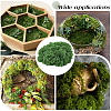 Polyester Artificial Moss DIY-CN0003-92C-5