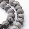 Frosted Round Natural Map Stone/Picasso Stone/Picasso Jasper Bead Strands G-J346-04-6mm-1