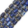 Natural Lapis Lazuli Beads Strands G-D103-A02-2