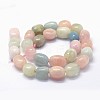 Natural Morganite Beads Strands G-K285-14A-2