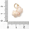 Alloy Enamel Pendants AL-CBA68FA-09A-G-3