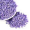 FGB Baking Paint Glass Seed Beads SEED-Q040-09A-16-1