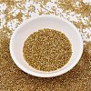 MIYUKI Delica Beads X-SEED-J020-DB2525-2