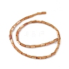Natural Freshwater Shell Dyed Beads Strands SHEL-M018-11-11-2