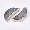 Electroplate Natural Labradorite Pendants G-S344-88C-2