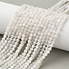 Natural Moonstone Beads Strands X-G-C201-B06-4mm-1