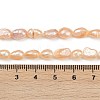 Natural Cultured Freshwater Pearl Beads Strands PEAR-P064-20H-02B-5