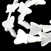 Natural Trochid Shell/Trochus Shell Beads Strands SSHEL-R145-02-6