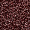 Glass Seed Beads SEED-A010-2mm-56-3