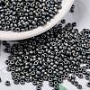 MIYUKI Round Rocailles Beads SEED-X0055-RR2002-1