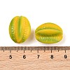 Fruit Series Opaque Resin Beads RE-CBAC4C7-11G-3