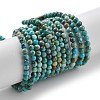 Natural HuBei Turquoise Beads Strands G-M411-A02-01-2