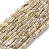 Natural Freshwater Shell Beads Strands X-SSHEL-B002-17-1