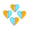 Transparent Resin & Wood Pendants RESI-T057-79-1