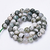Natural Tree Agate Beads Strands G-S281-15-6mm-3