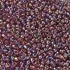 TOHO 6/0 Round Beads SEED-XTR06-0166B-3