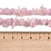 Natural Kunzite Beads Strands G-P597-A01-01-5
