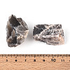 Natural Grey Moonstone Display Decorations G-N347-11C-4