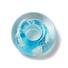 Glass European Beads GLAA-XCP0001-40A-2