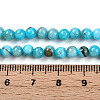 Natural Persian Jade Beads Strands G-A255-A02-04H-5