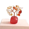 Natural Carnelian Sculpture Display Decorations PW-WGC5A46-05-1