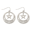 Tarnish Resistant 304 Stainless Steel Dangle Earrings for Women EJEW-F338-04P-02-1