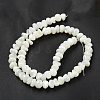 Natural Trochus Shell Beads Strands BSHE-G039-01B-2