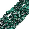 Natural Malachite Beads Strands G-L493-42A-1