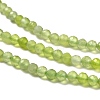 Natural Xiuyan Jade Beads Strands G-Z074-A04-02-4