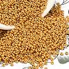 TOHO 6/0 Demi Round Beads Y-SEED-DR06-PF557F-2