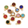 Birthstone 201 Stainless Steel Rhinestone Charms X-STAS-G368-01G-2