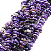 Natural Charoite Beads Strands G-E569-K04-1