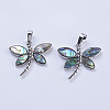 Abalone Shell/Paua Shell Pendants X-SSHEL-L008-07P-2