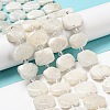 Natural Rainbow Moonstone Beads Strands G-G072-A02-02-2