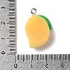 Opaque Resin Fruit Pendants RESI-M039-06-3