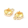 Brass Micro Pave Cubic Zirconia Charms KK-L208-10G-04-3