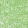 6/0 Glass Seed Beads SEED-A015-4mm-2214-2